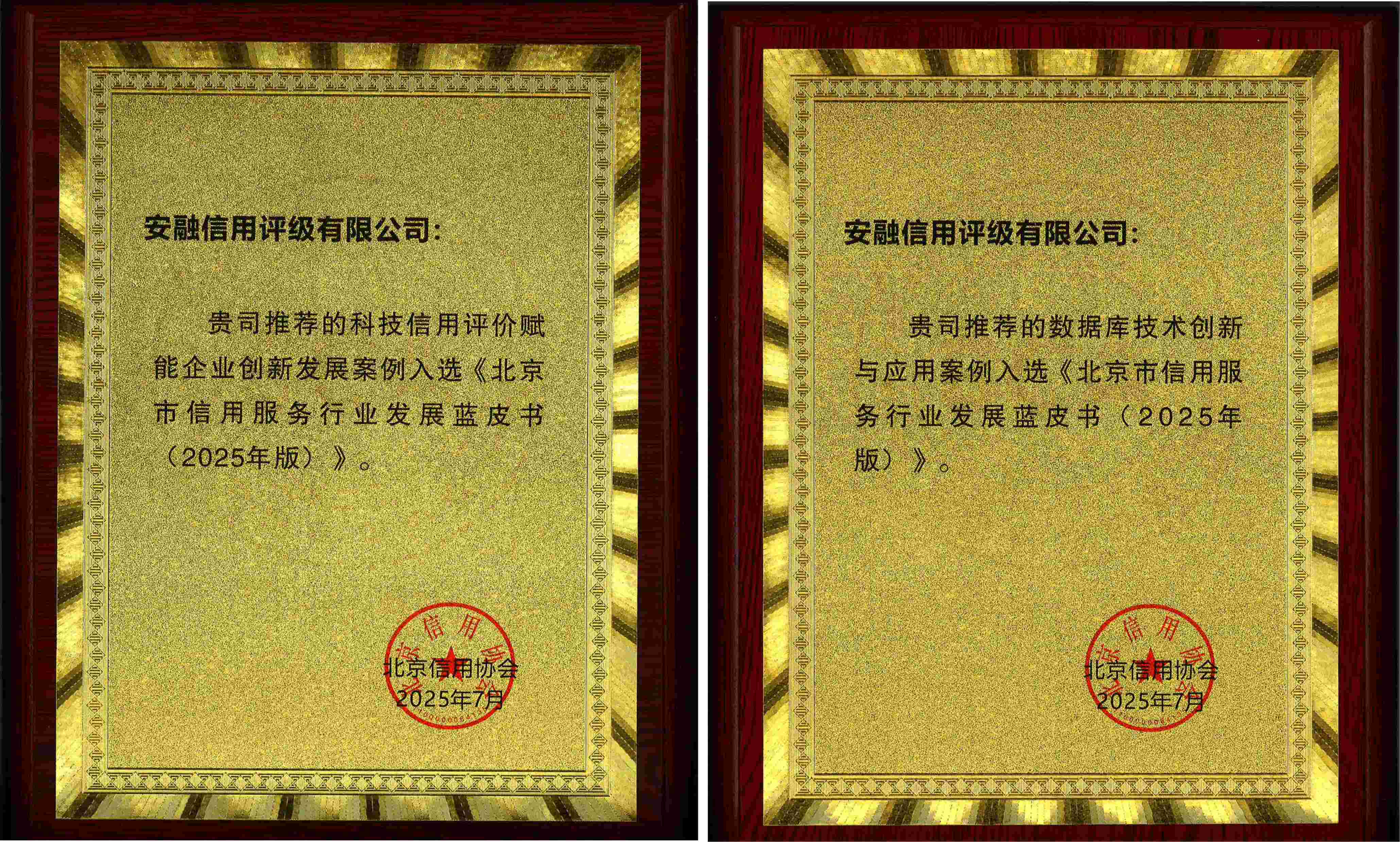 喜讯！安融评级两项创新案例入选《北京市信用服务行业发展蓝皮书